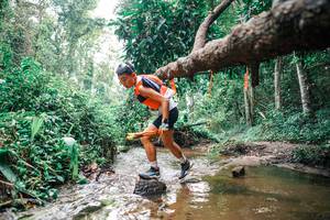 BIB: 
                            <button type="button" onclick="openModal(25368583)" class="btn btn-primary btn-sm float-right btn-popup" data-toggle="modal" data-target=".modal-high-quality">
                        <i class="fas fa-shopping-cart"></i> Add to Cart
                    </button>
                                            <button type="button" onclick="isThisMe(25368583, true)" class="btn btn-success btn-sm float-right btn-popup btn-isme hidden" data-toggle="tooltip" data-placement="bottom" title="นี่คือรูปของคุณใช่ไหม คลิกที่นี่เพื่อเอาเข้าอัลบั้ม">
                        <i class="fas fa-plus"></i> Add to album
                    </button>
                    <button type="button" onclick="isThisMe(25368583, false)" class="btn btn-warning btn-sm float-right btn-popup btn-isnotme hidden">
                        <i class="fas fa-ban"></i> Remove from album
                    </button>